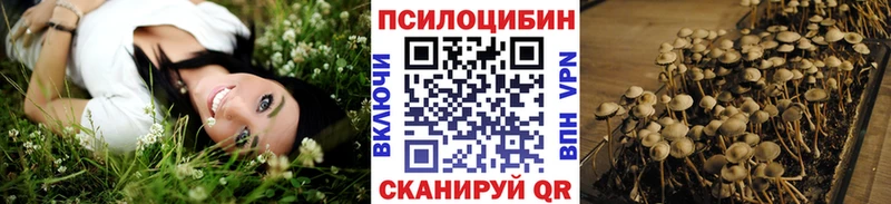 Псилоцибиновые грибы ЛСД  где купить наркоту  Пучеж 